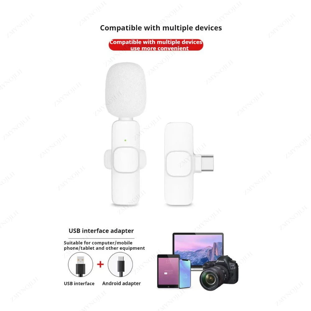 Mini Audio Video Recording Mic for PC & Camera