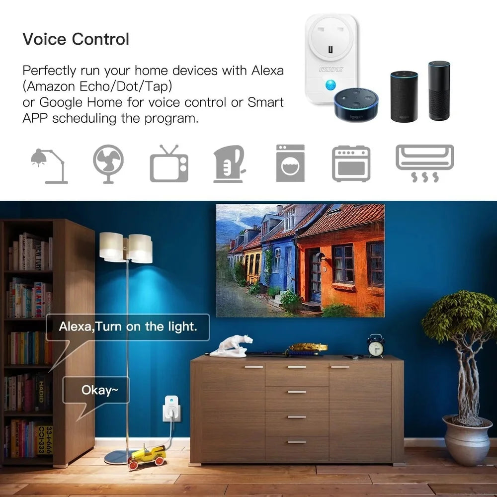 Wi-Fi AU Smart Wall Socket