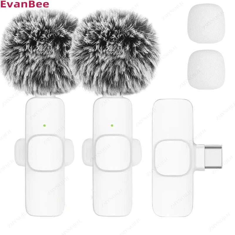 Mini Audio Video Recording Mic for PC & Camera