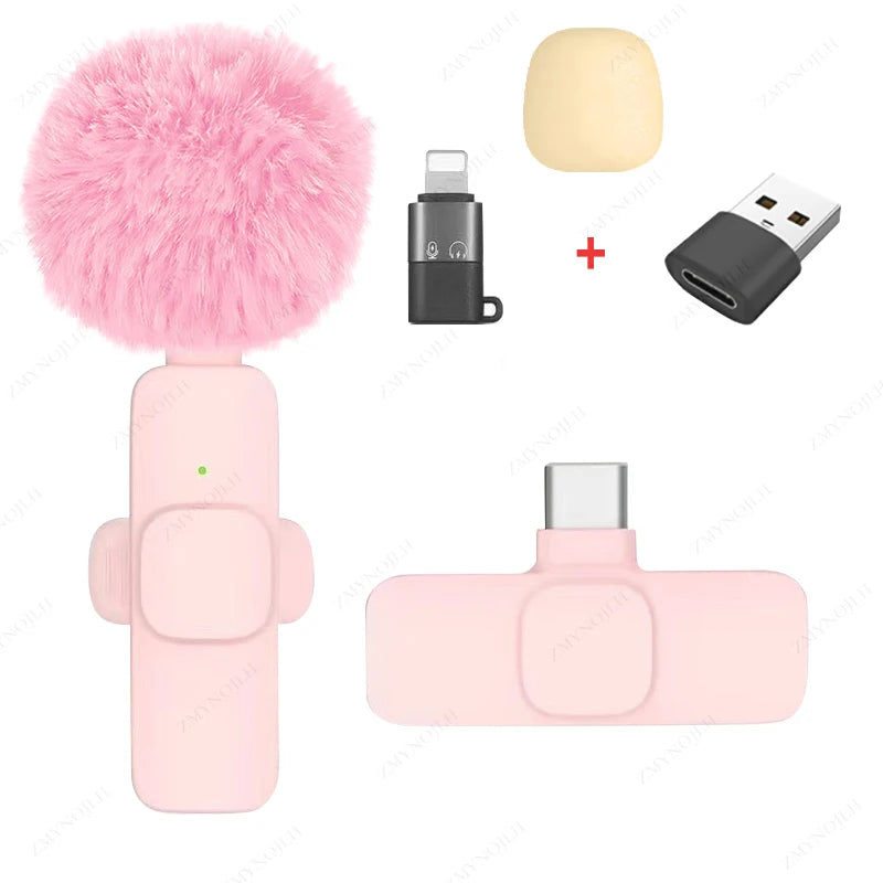 Mini Audio Video Recording Mic for PC & Camera