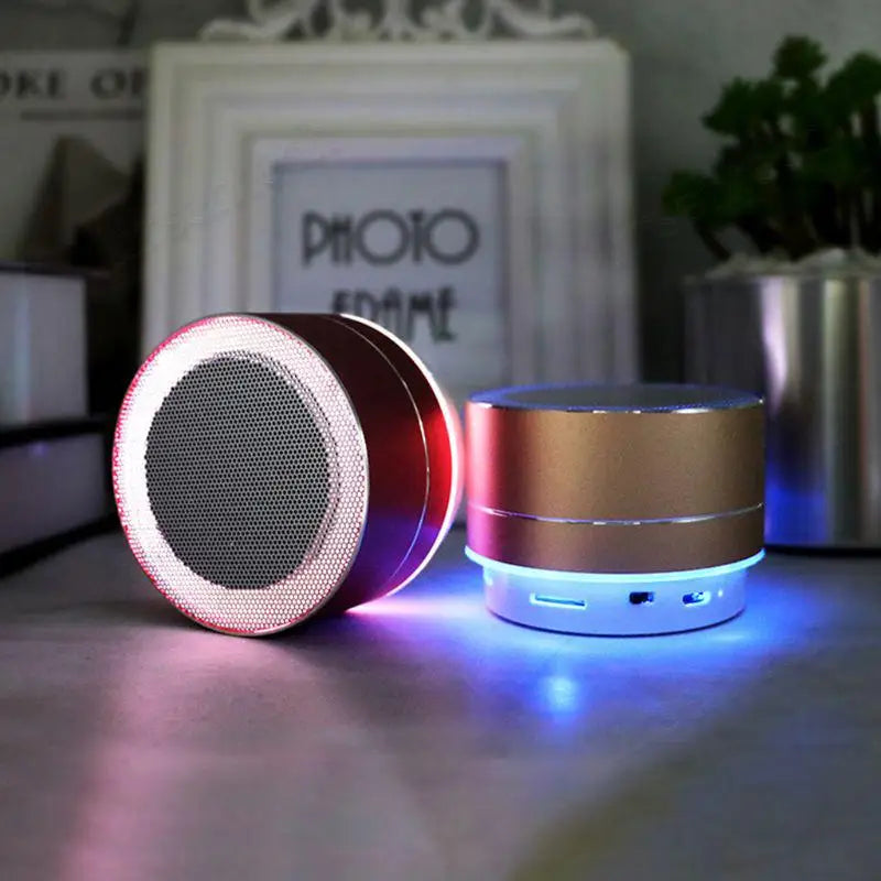 Wireless Mic/TF Card Stereo Speaker