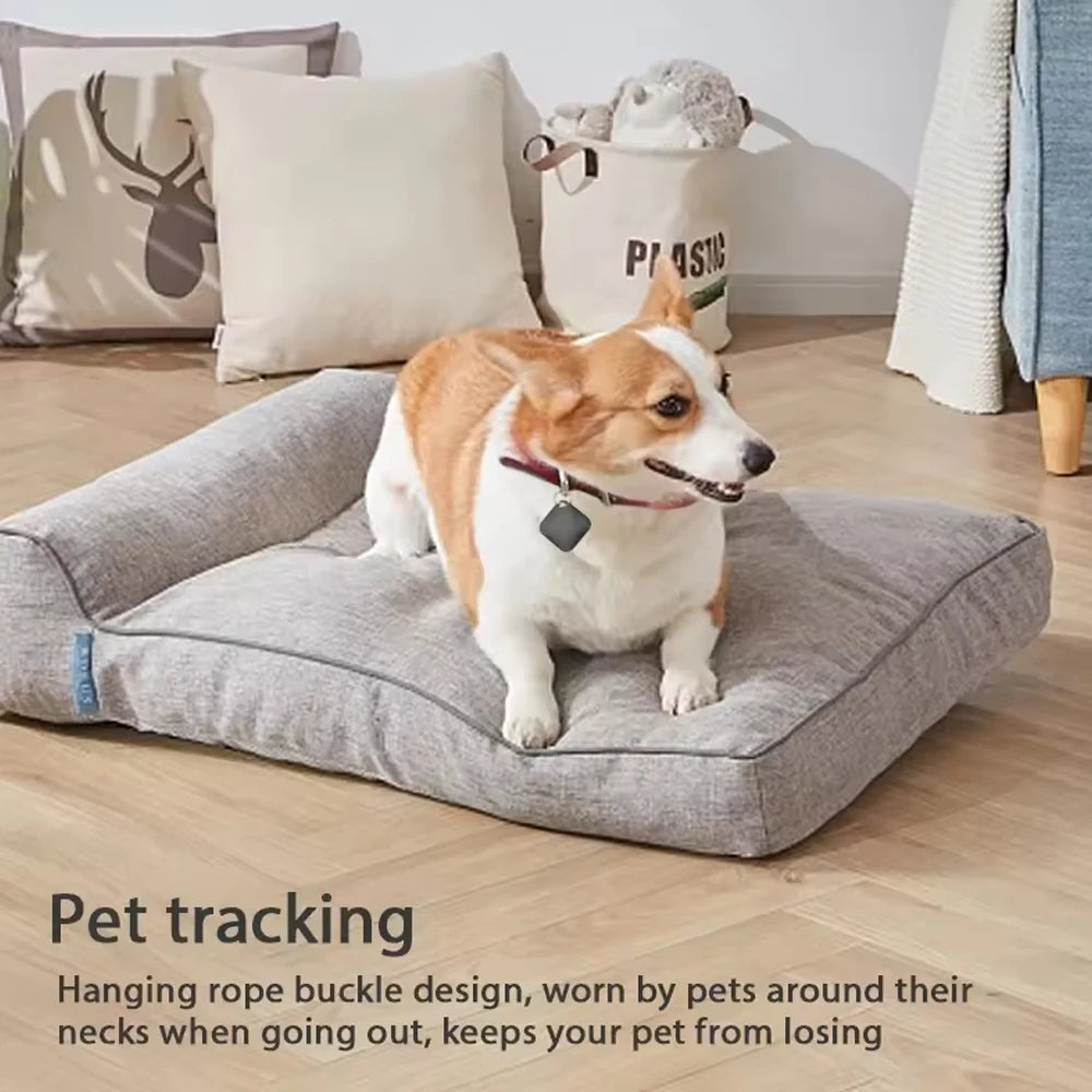 Apple Positioning Anti-loss Device
