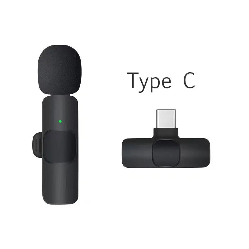 2-in-1 Portable Mini Wireless Lavalier Mic