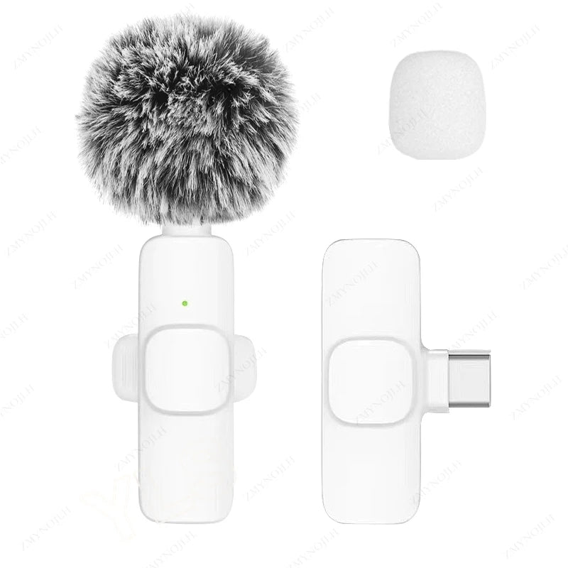 Mini Audio Video Recording Mic for PC & Camera