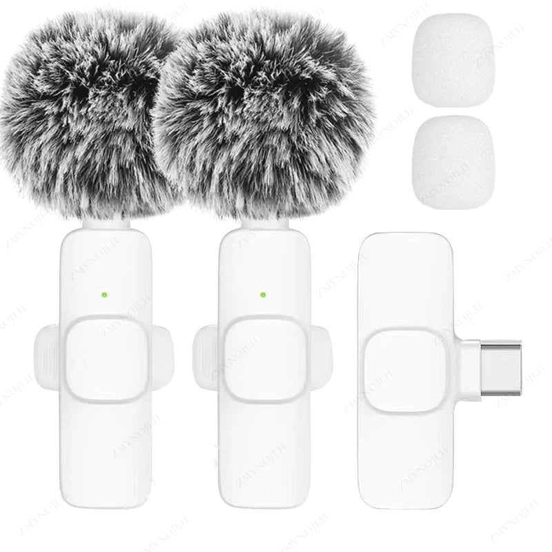 Mini Audio Video Recording Mic for PC & Camera