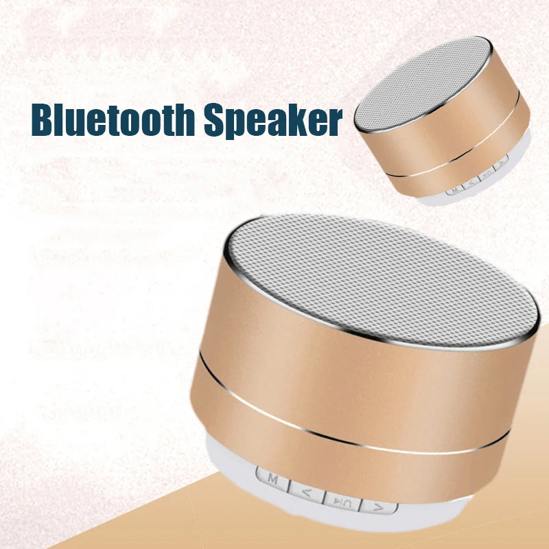 Wireless Mic/TF Card Stereo Speaker