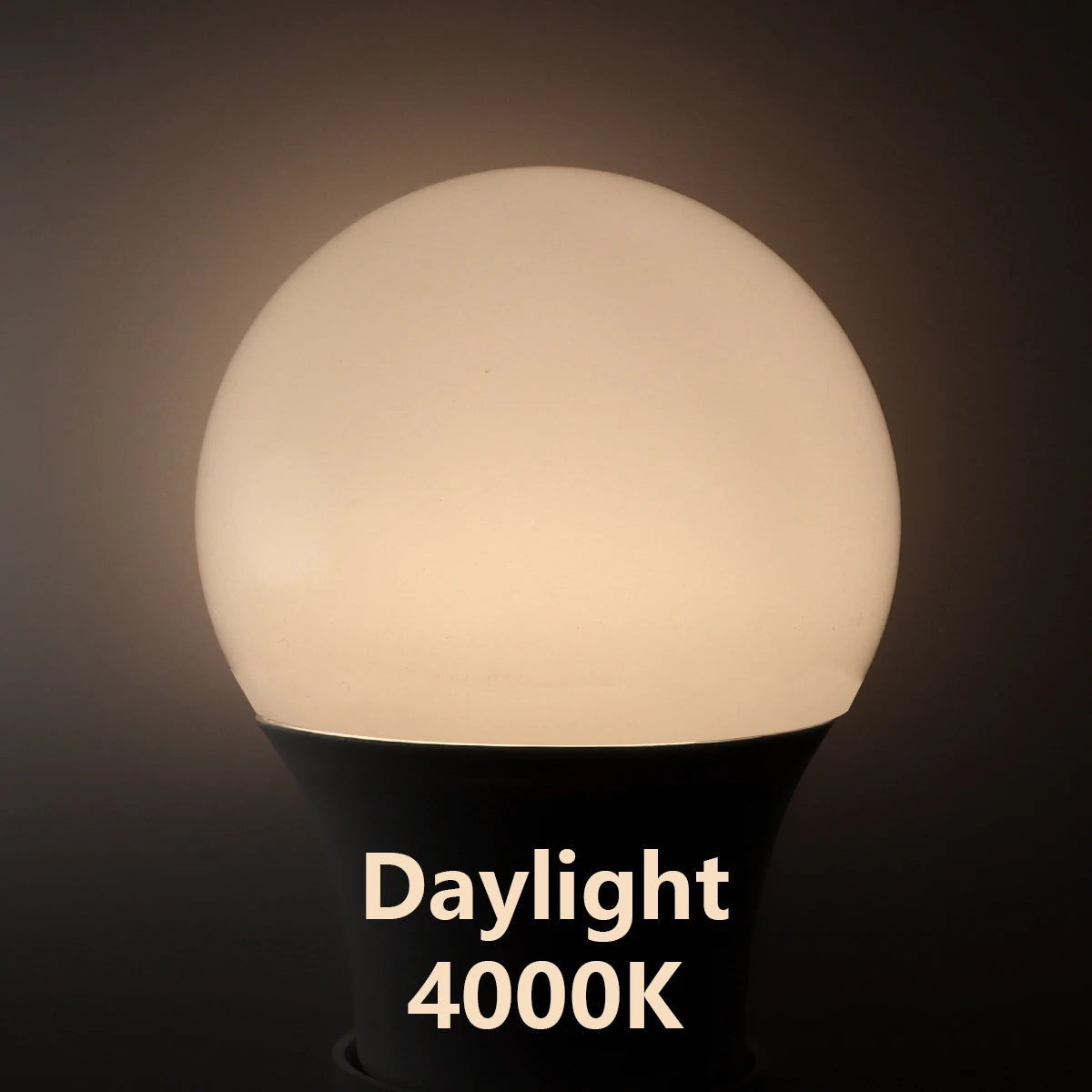 10W LED Dusk-to-Dawn Smart Bulb