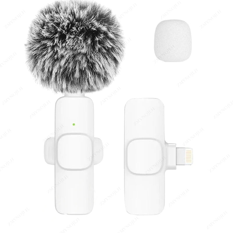 Mini Audio Video Recording Mic for PC & Camera