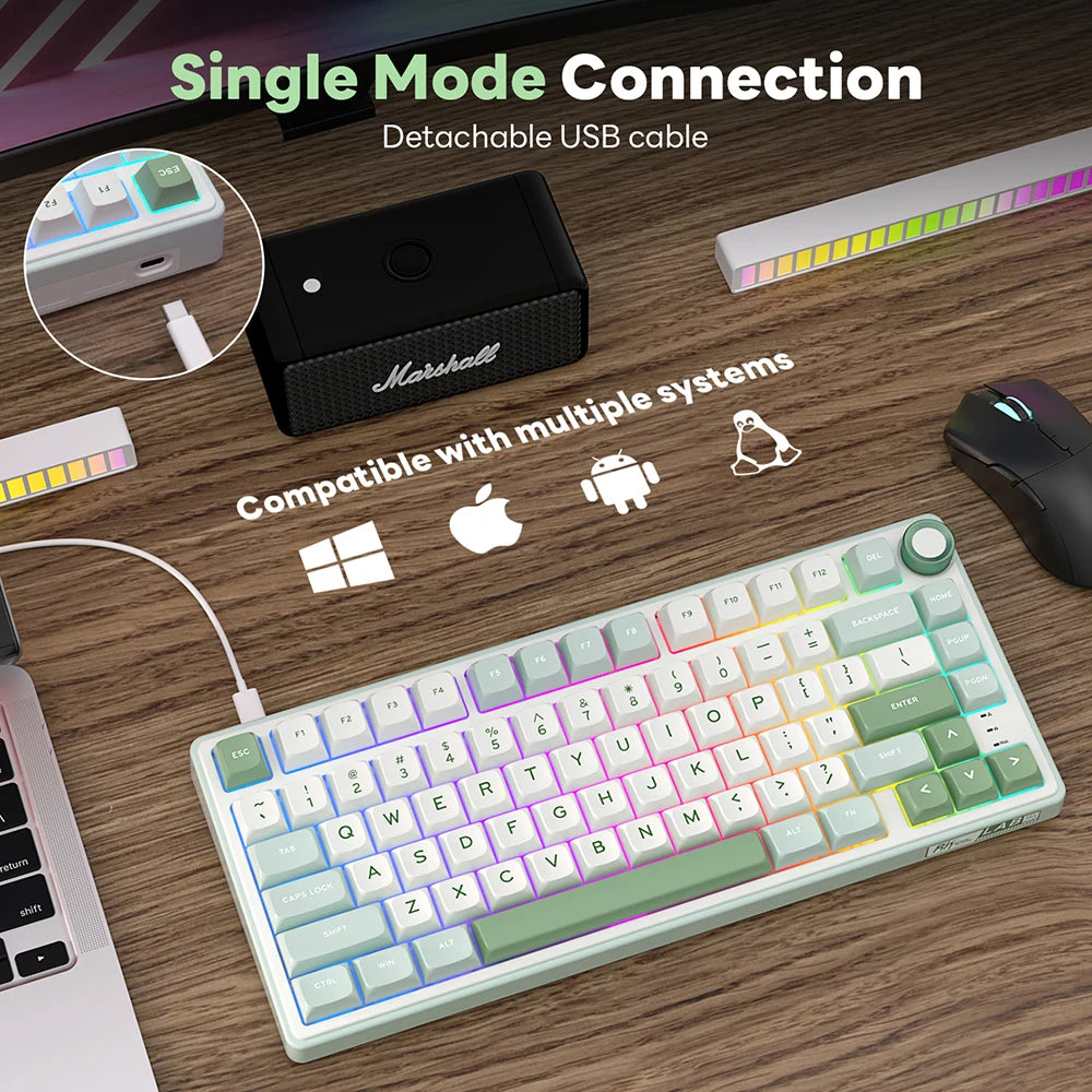 R75 RGB Hot-Swappable Gaming Keyboard