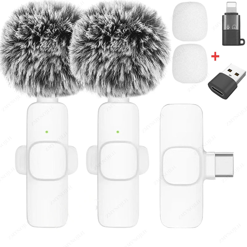 Mini Audio Video Recording Mic for PC & Camera