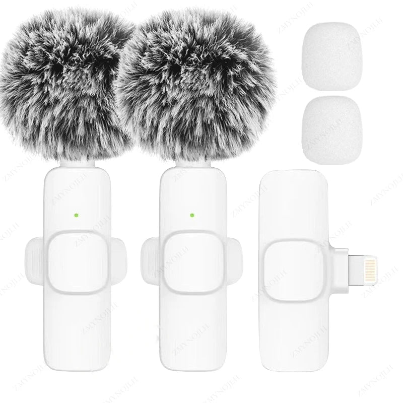 Mini Audio Video Recording Mic for PC & Camera