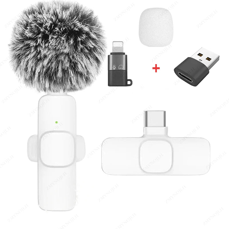 Mini Audio Video Recording Mic for PC & Camera