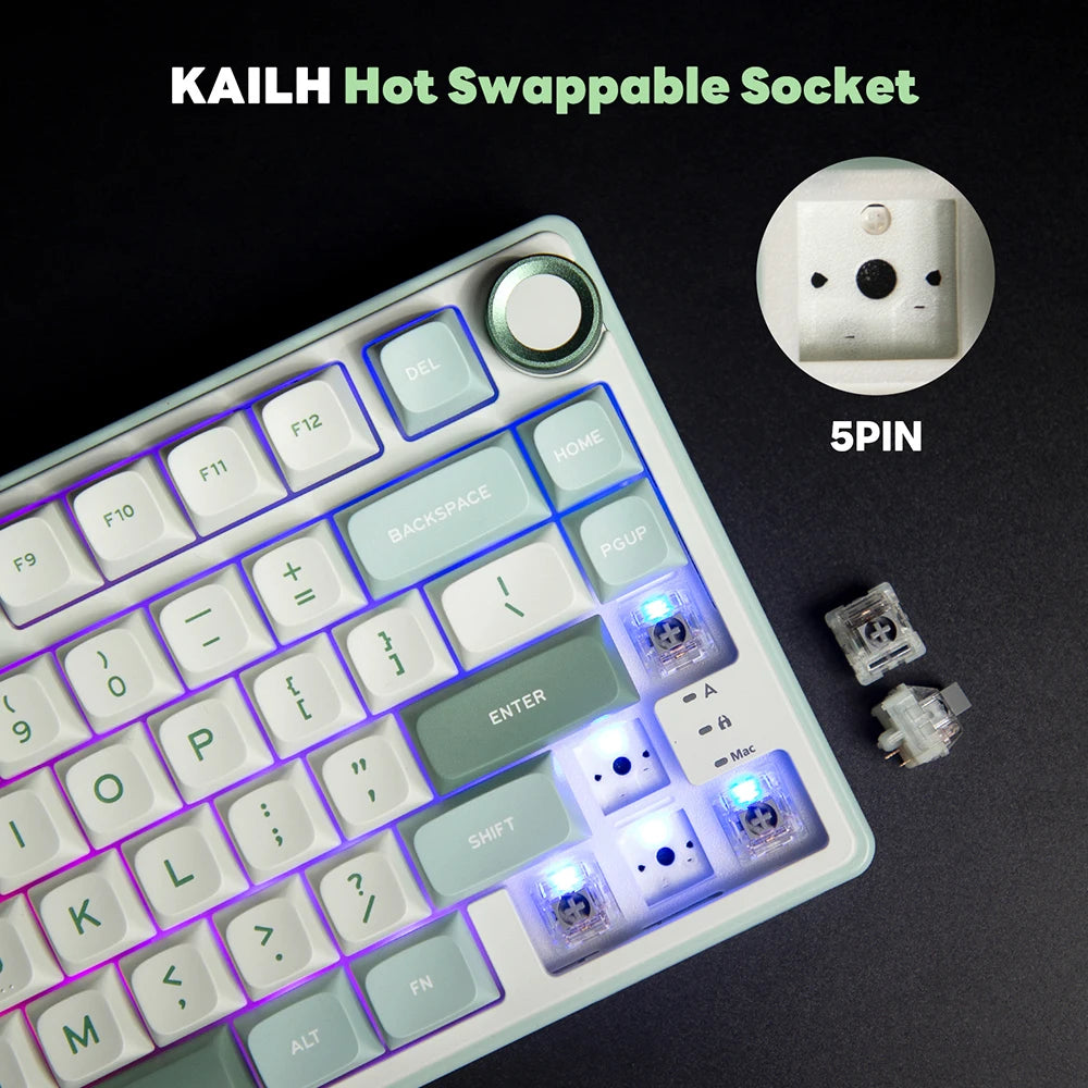 R75 RGB Hot-Swappable Gaming Keyboard