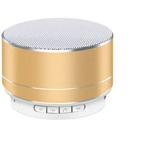 Wireless Mic/TF Card Stereo Speaker