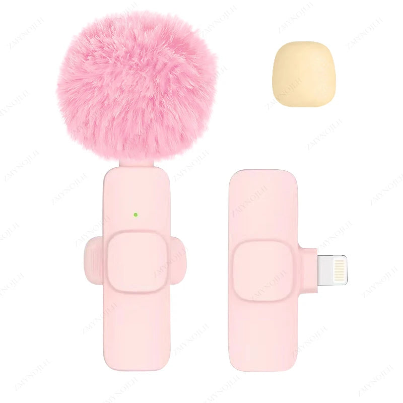 Mini Audio Video Recording Mic for PC & Camera